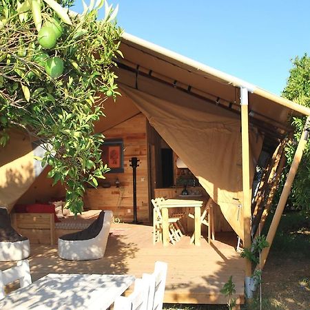 Campo Portakal Eco Glamping Hotel Çıralı Quarto foto
