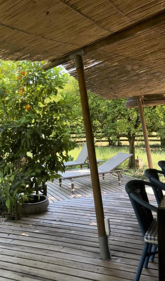 Campo Portakal Eco Glamping Hotel Çıralı Exterior foto