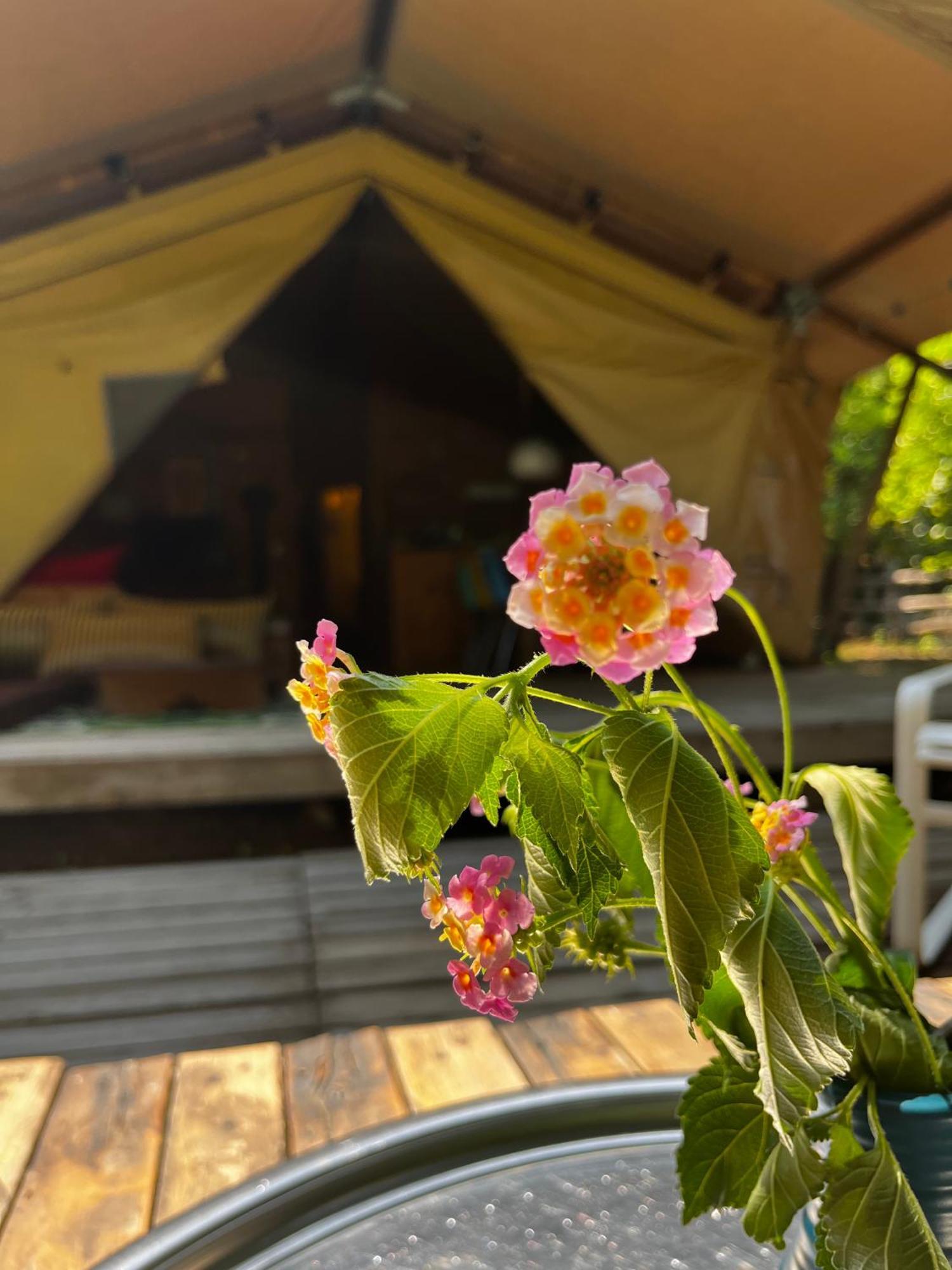 Campo Portakal Eco Glamping Hotel Çıralı Quarto foto
