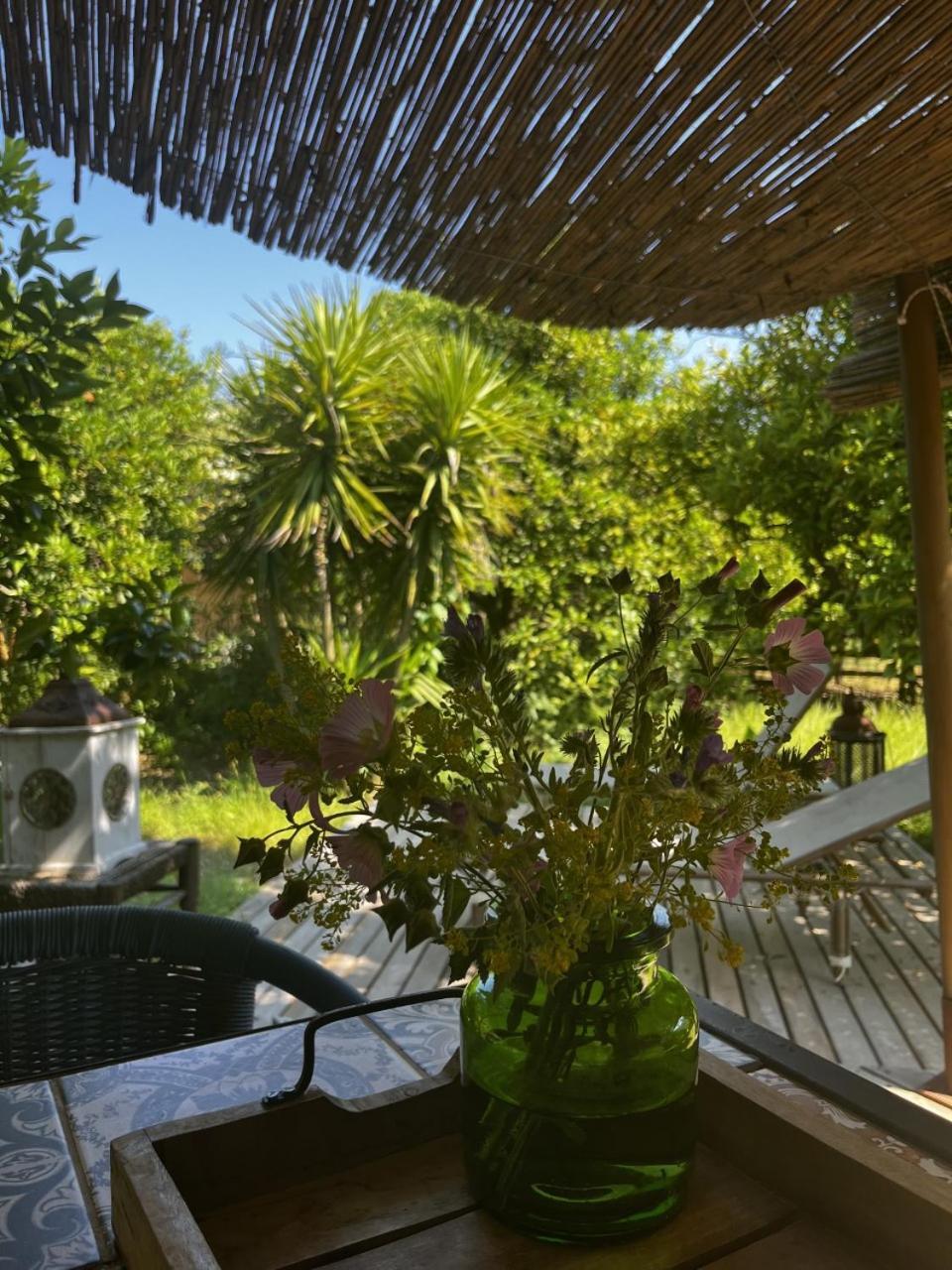 Campo Portakal Eco Glamping Hotel Çıralı Quarto foto